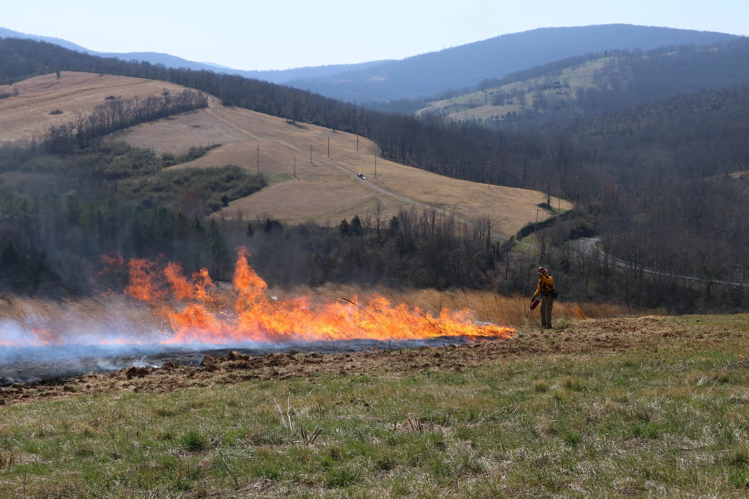 Fire1.jpg