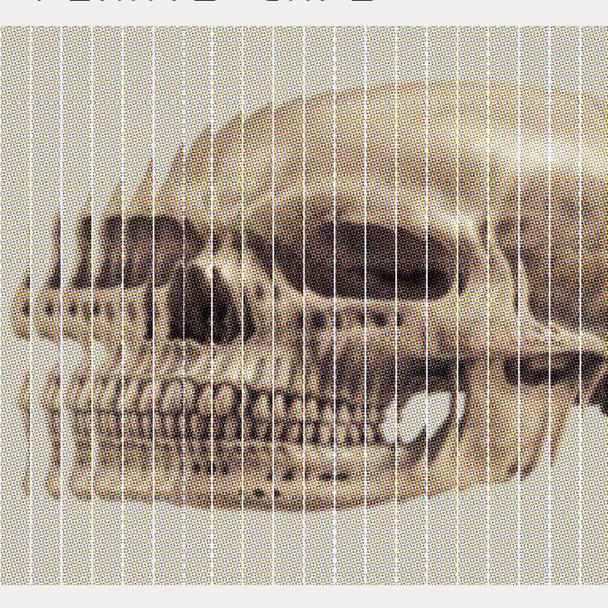 Second Wind Pirate Cafe