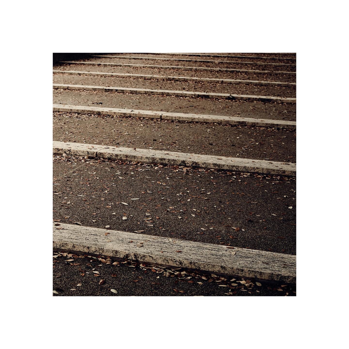 Shooting around Kimbell 2/3
&bull;
&bull;
&bull;
Fujifilm X100F
#fujifilm
#x100
#photography
#x100f
#cinematic
#asthetic 
#composition
#colors
#fuji
#captureone
#shadows #kimbell