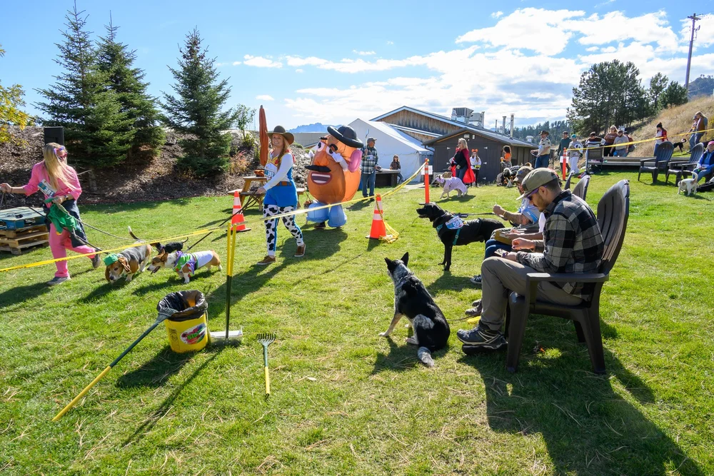 DWDC2023_web (106 of 131).jpg