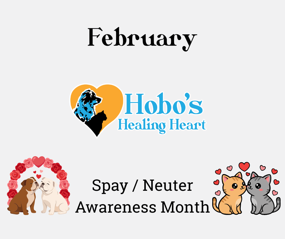 Before the Emergency Call: Why Spay &amp; Neuter Matters in the Black Hills