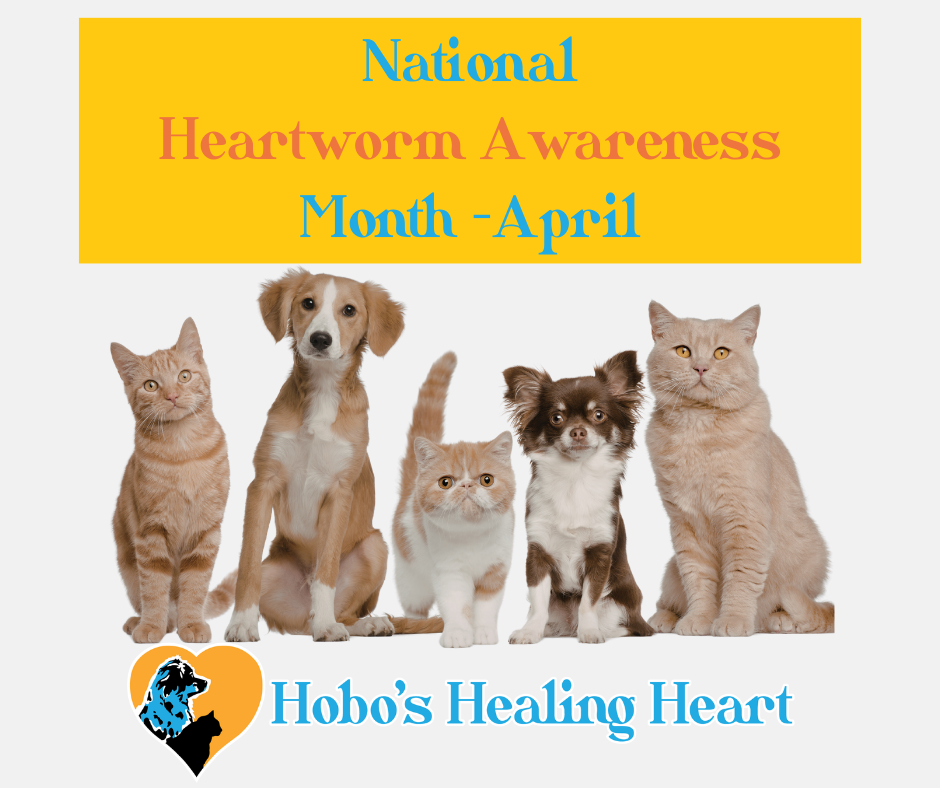 April Is National Heartworm Awareness Month