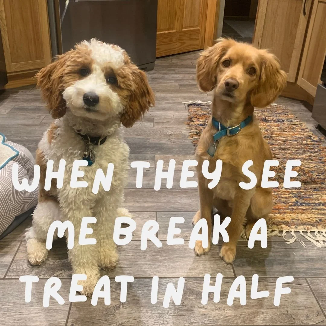 A Little Extra Love Can Add Up