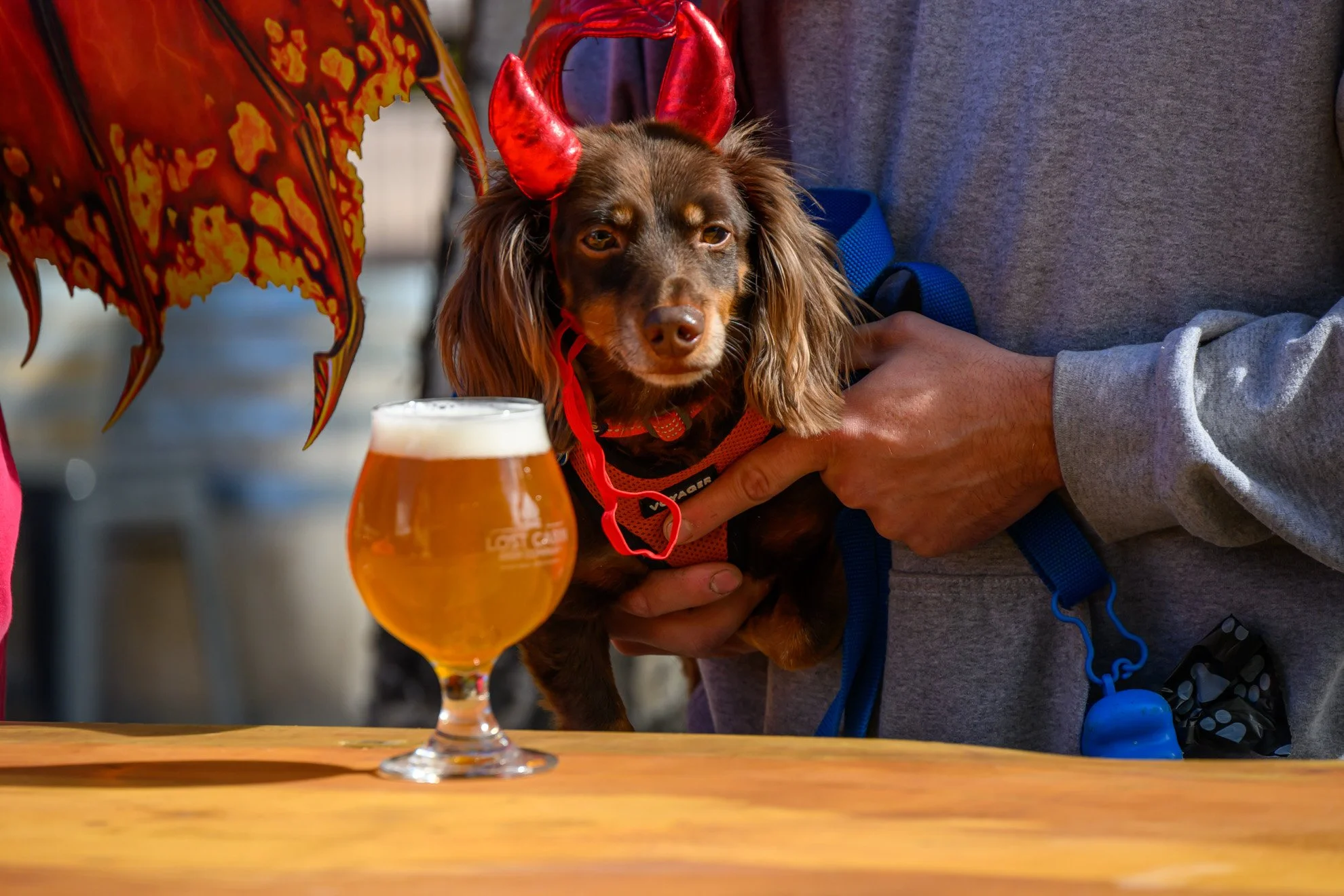 LC Photos_web (59 of 179).jpg