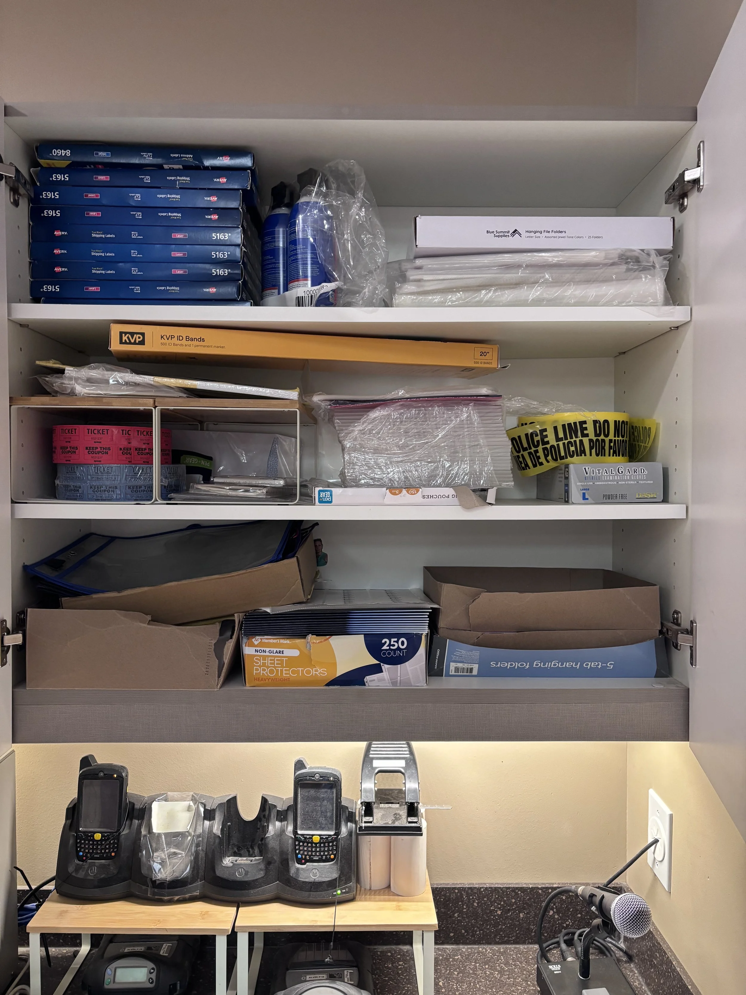 alvin animal - 1.jpeg