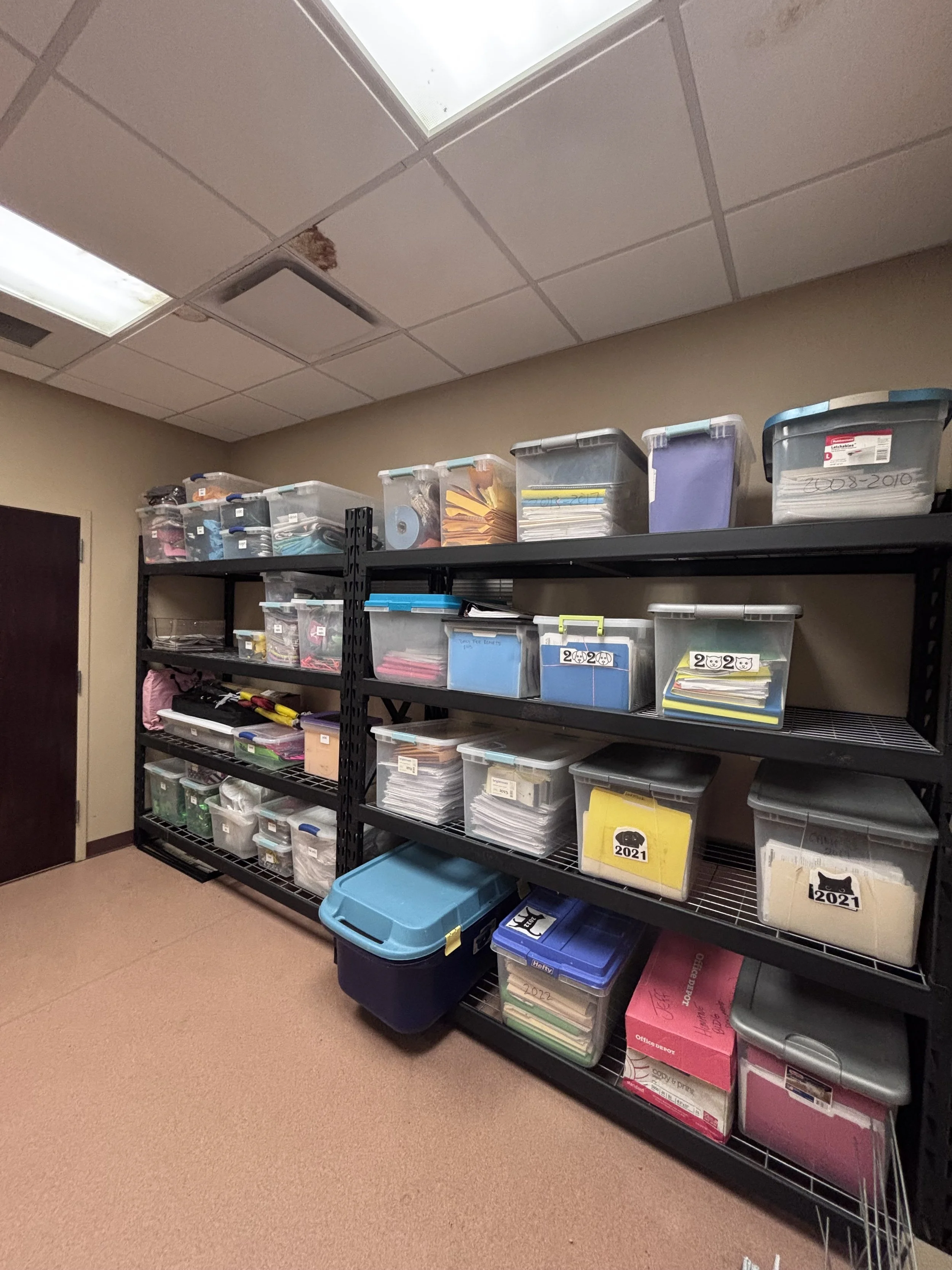 alvin animal - 6.jpeg