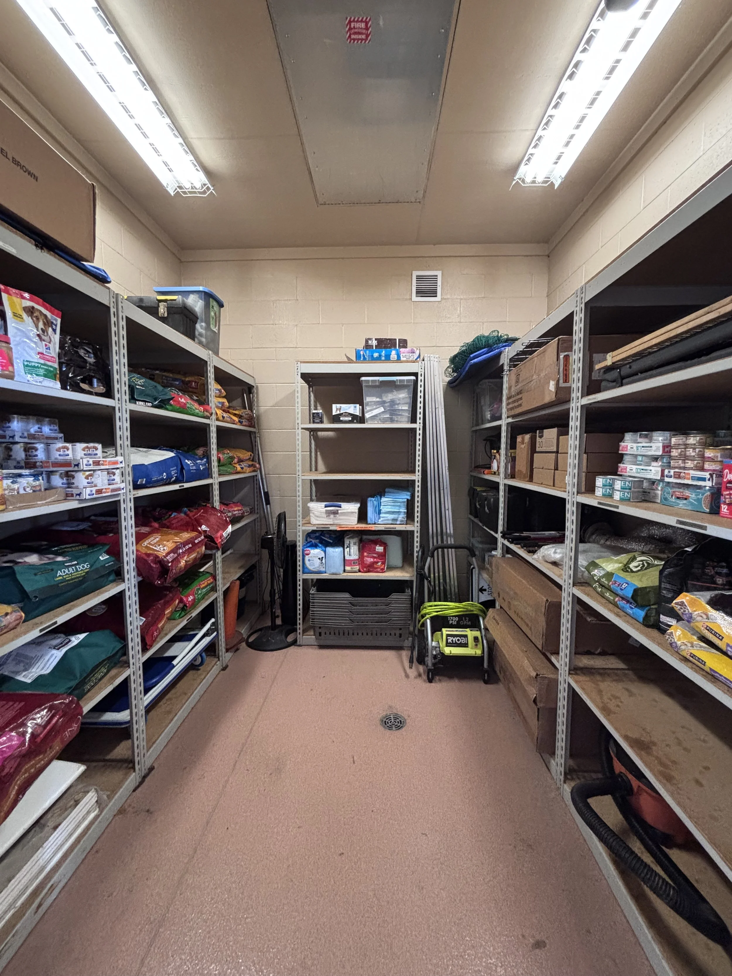 alvin animal - 10.jpeg