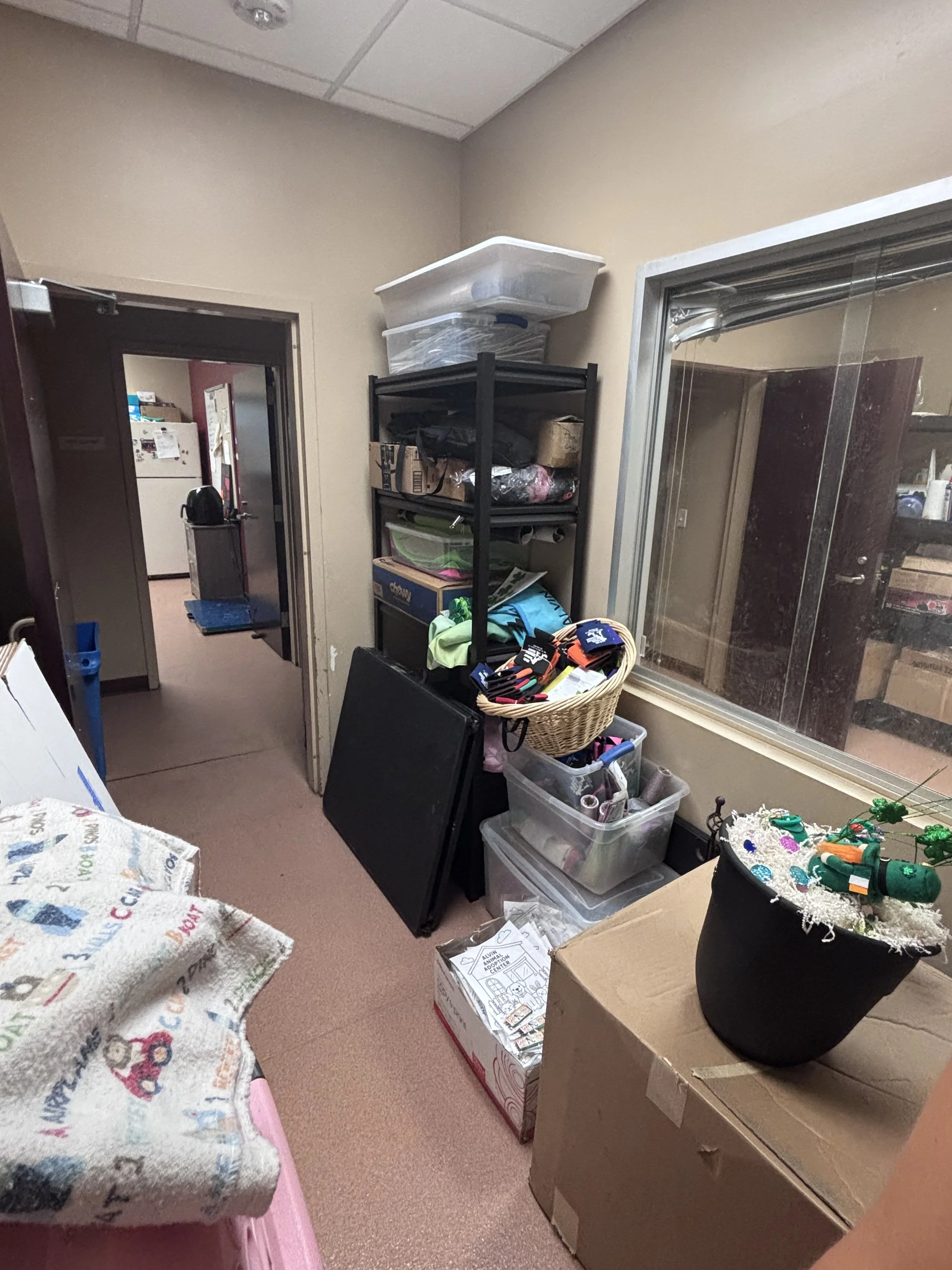 alvin animal - 7.jpeg