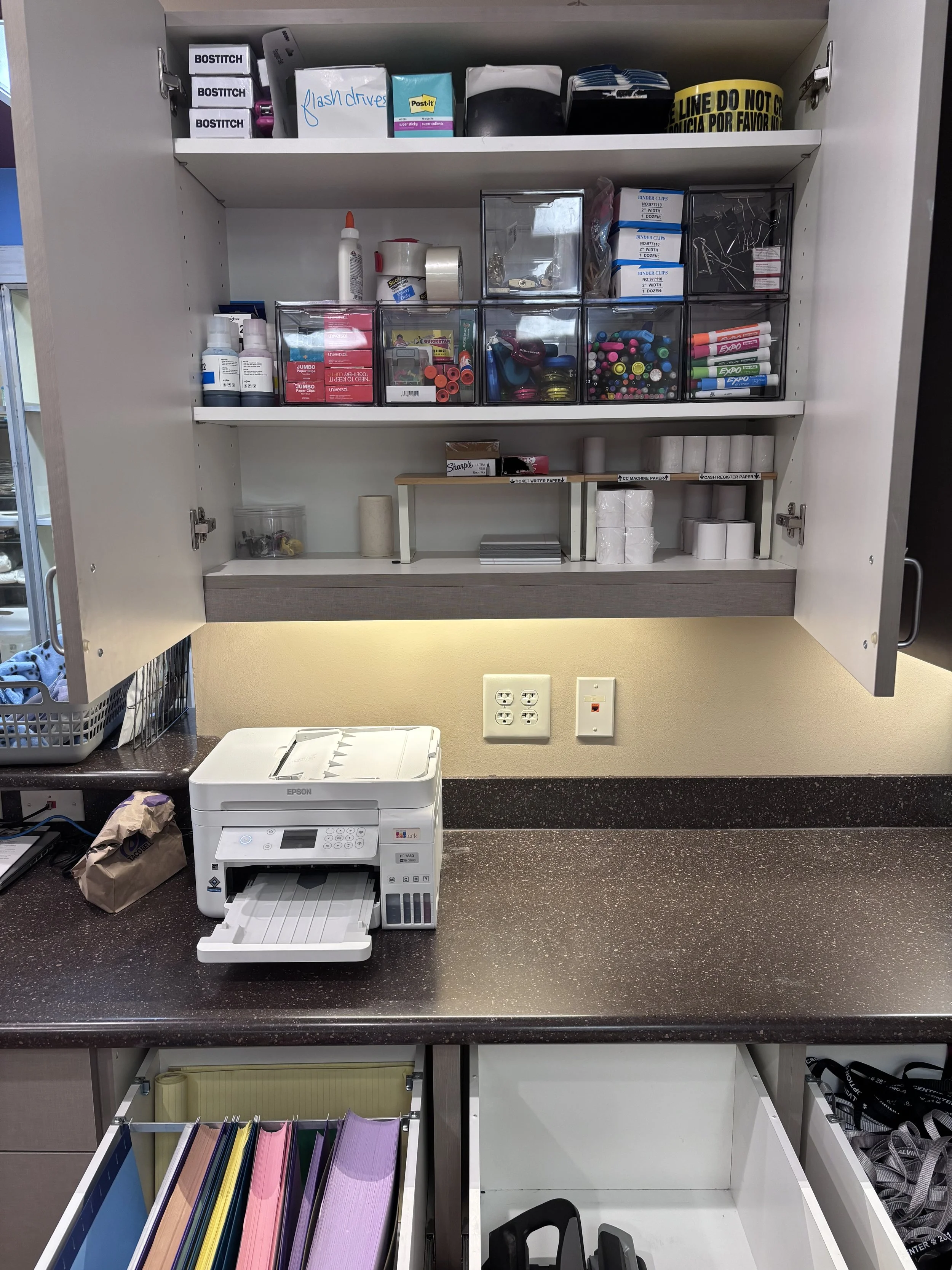 alvin animal - 4.jpeg