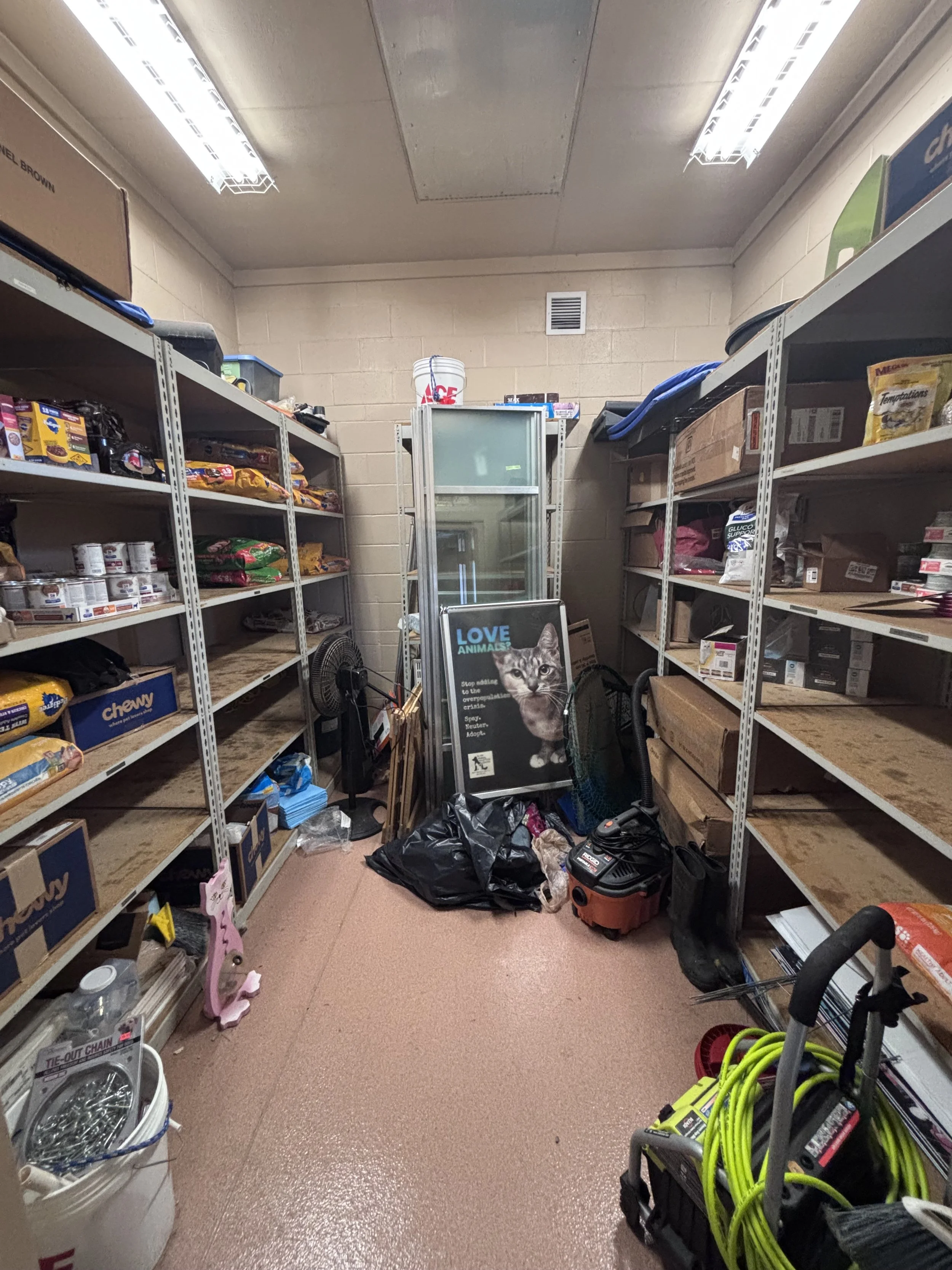 alvin animal - 9.jpeg