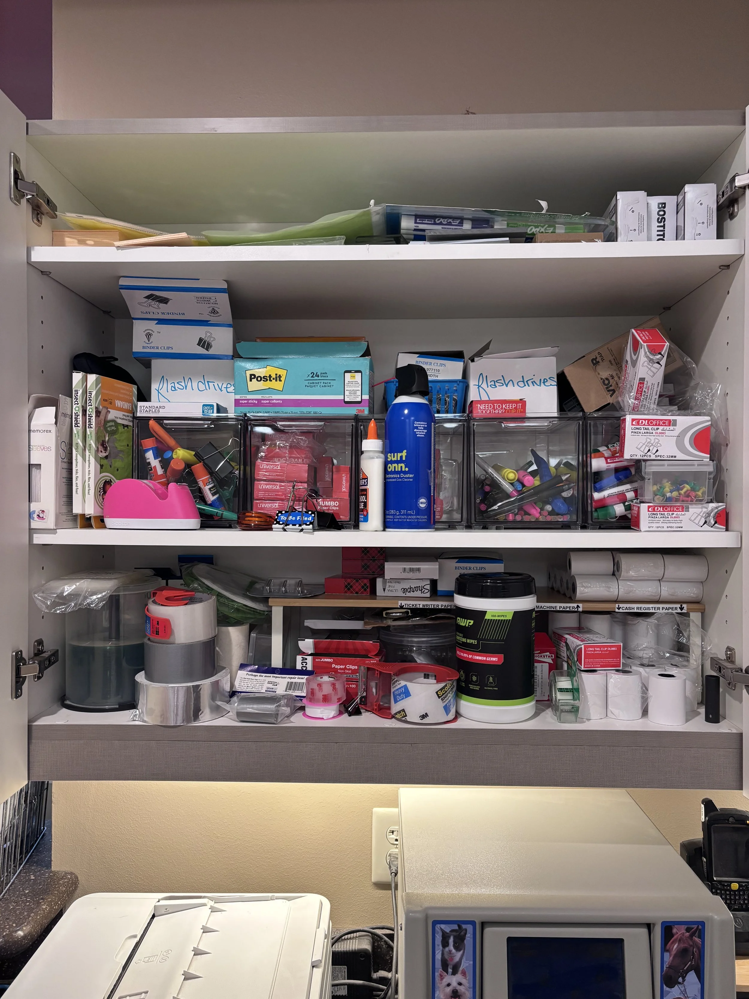 alvin animal - 3.jpeg