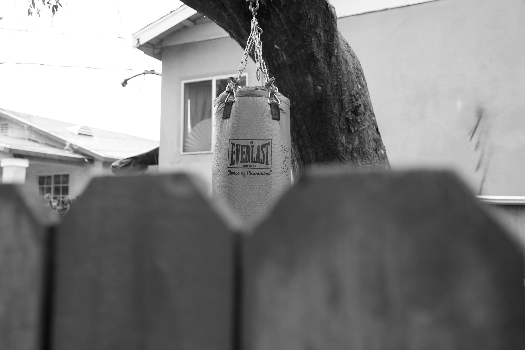 _12A2546.jpg