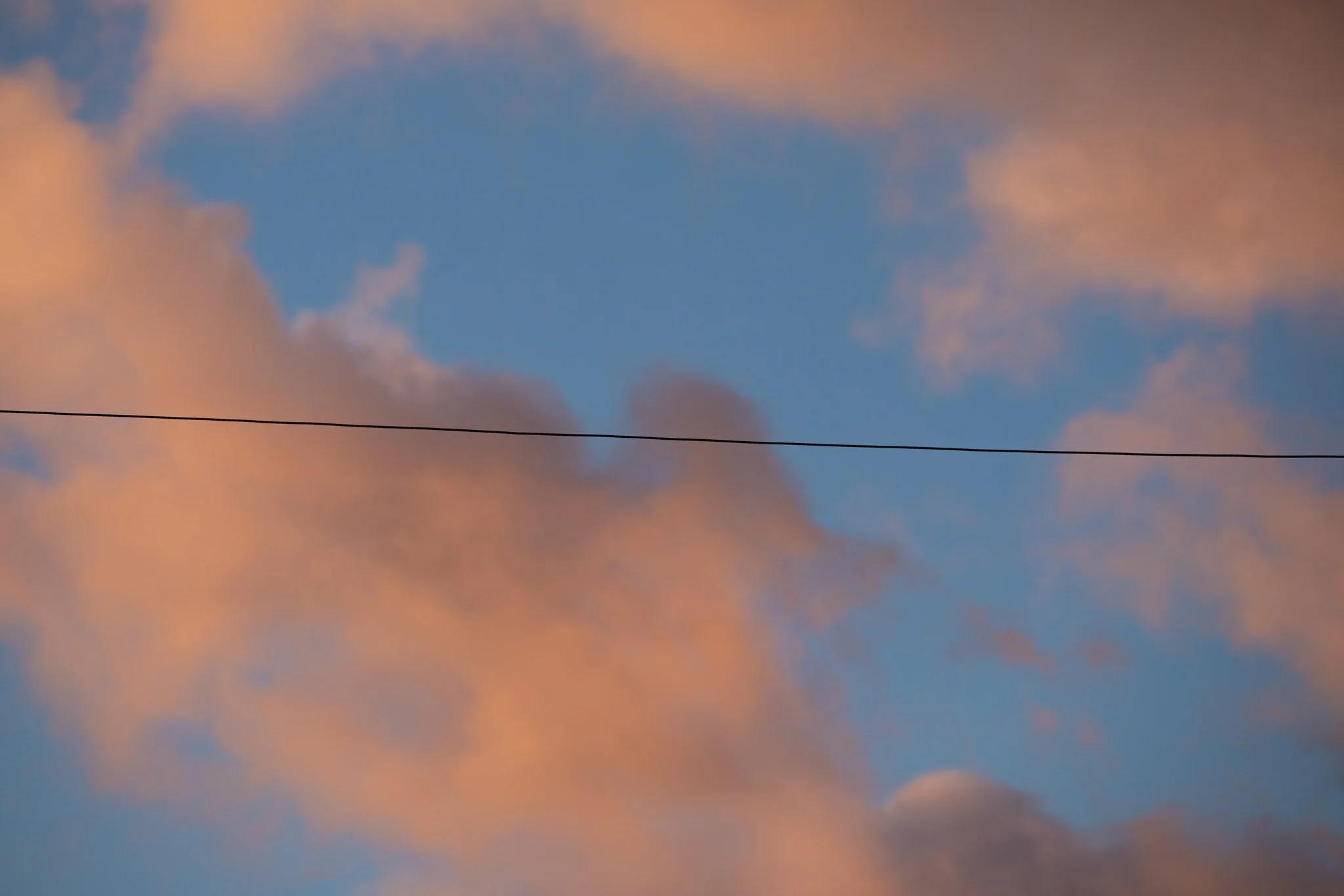 _12A8851.jpg
