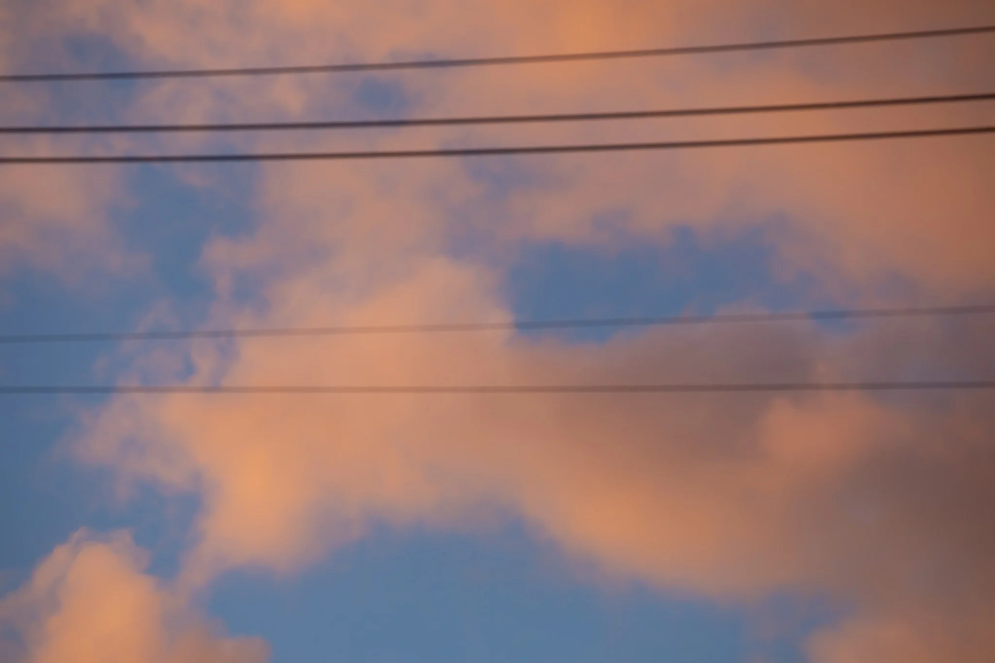 _12A8852.jpg