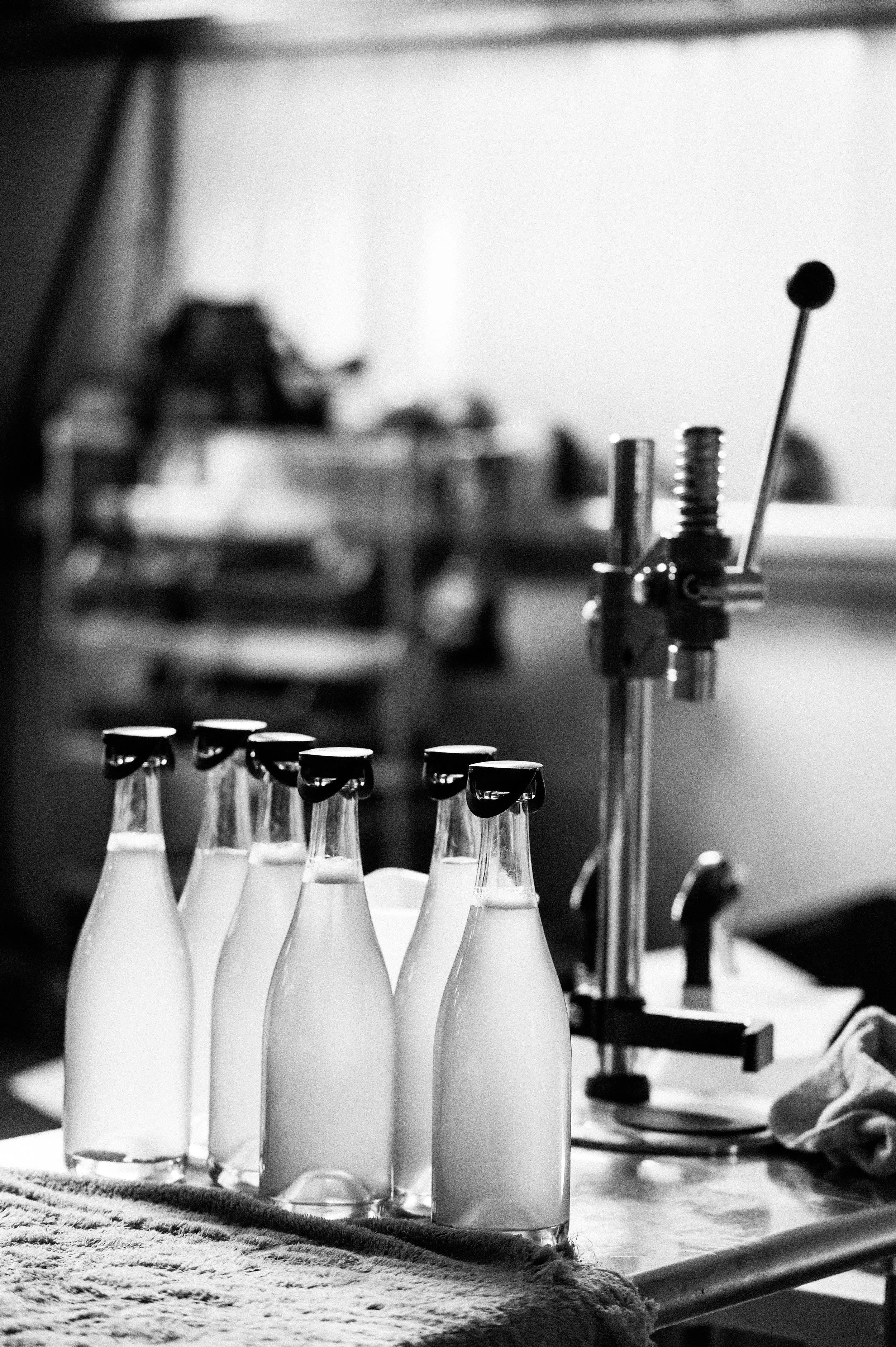 Seven glass bottles filled with organic sparkling wine