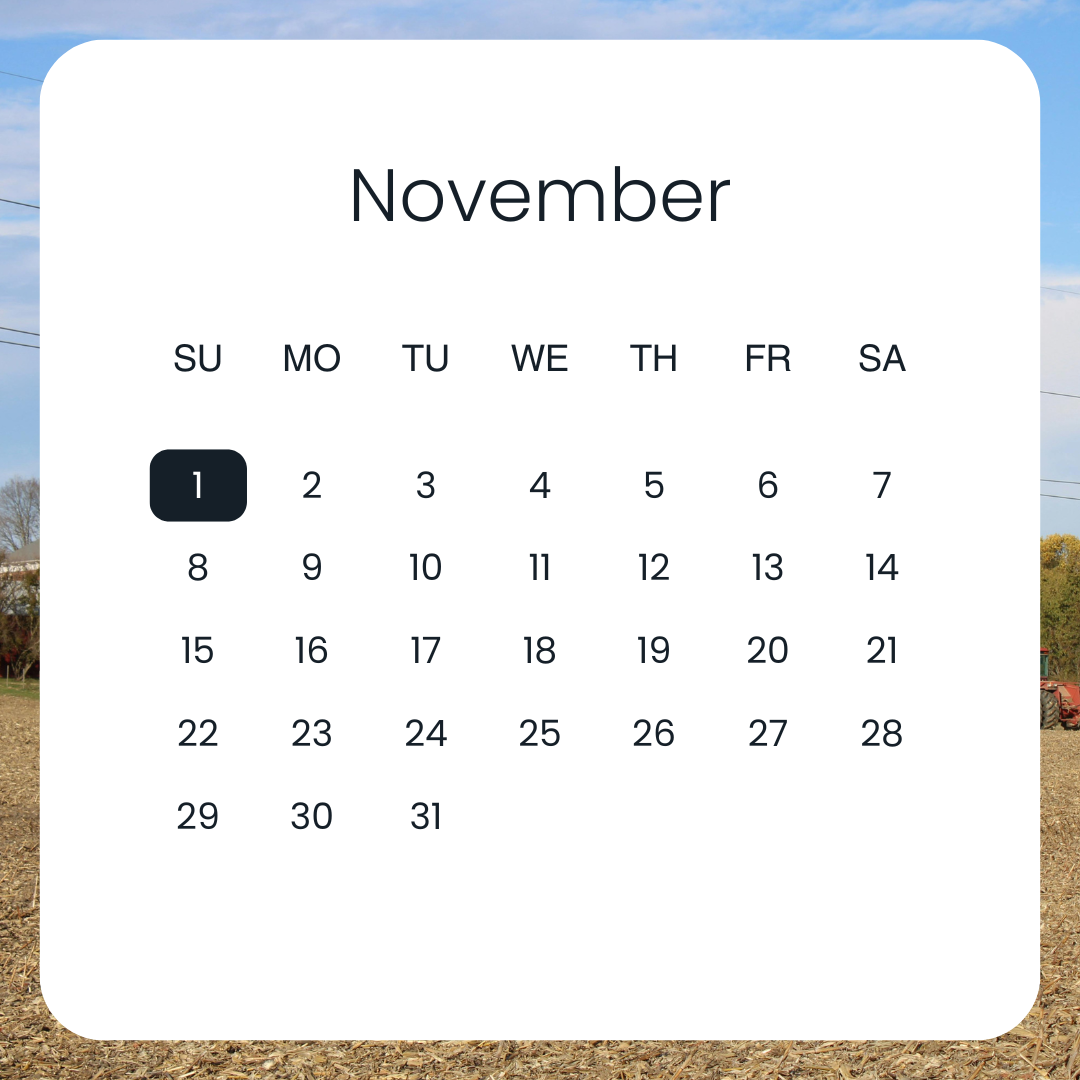 November