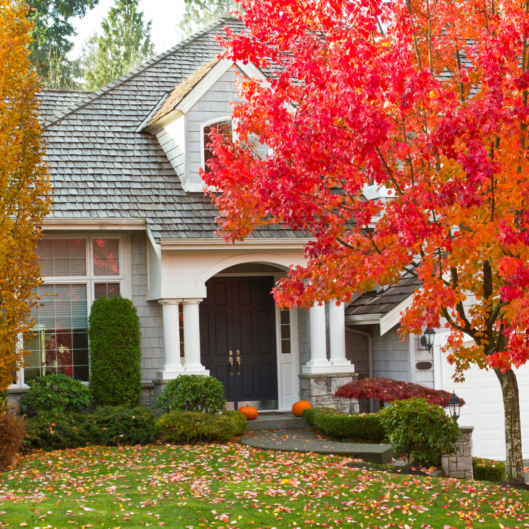 Navigating November Real Estate — Definitive Valuations