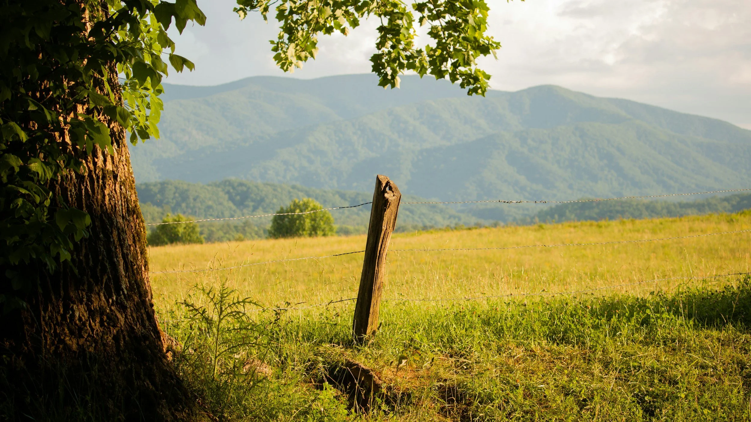 Areas We Service: Local Real Estate Appraisal Expertise Across Alabama &amp; Tennessee