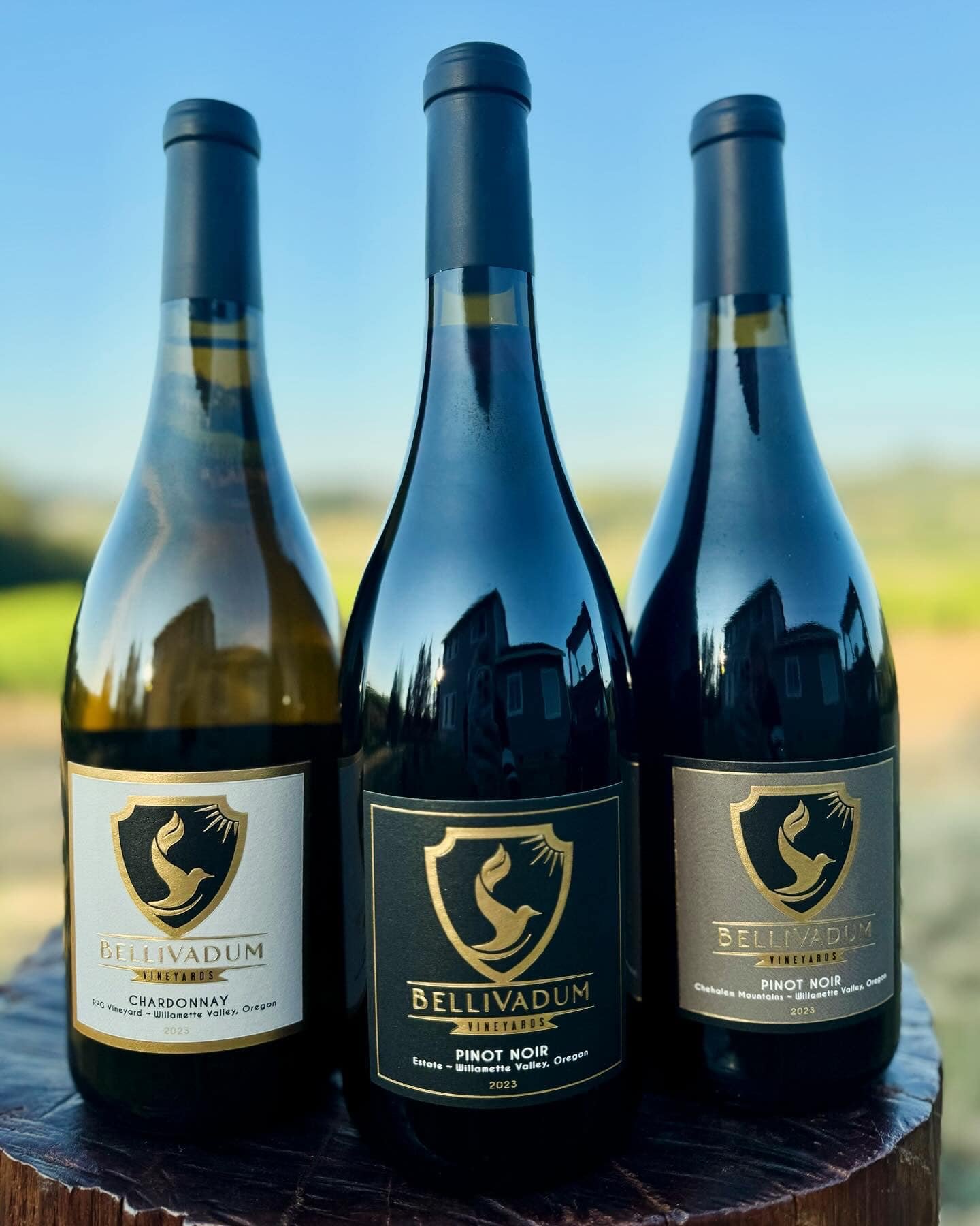 2023 is in the bottle!  Excited to have bottled our first Chardonnay along with our Estate and Chehalem Mountains Pinot Noir. #bellivadumvineyards #willamettevalleywines