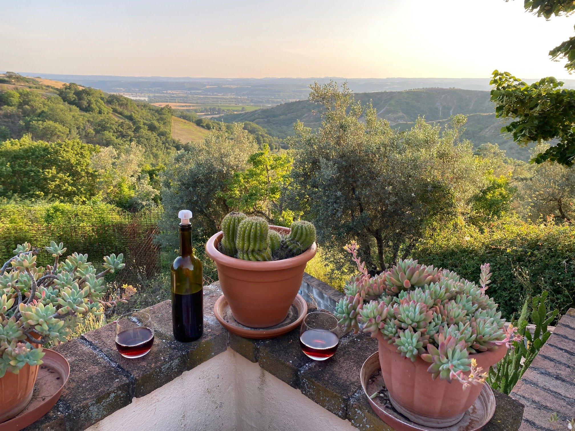 Seeking Partner for Villa with Olive Grove and Vineyard in Umbria Italy