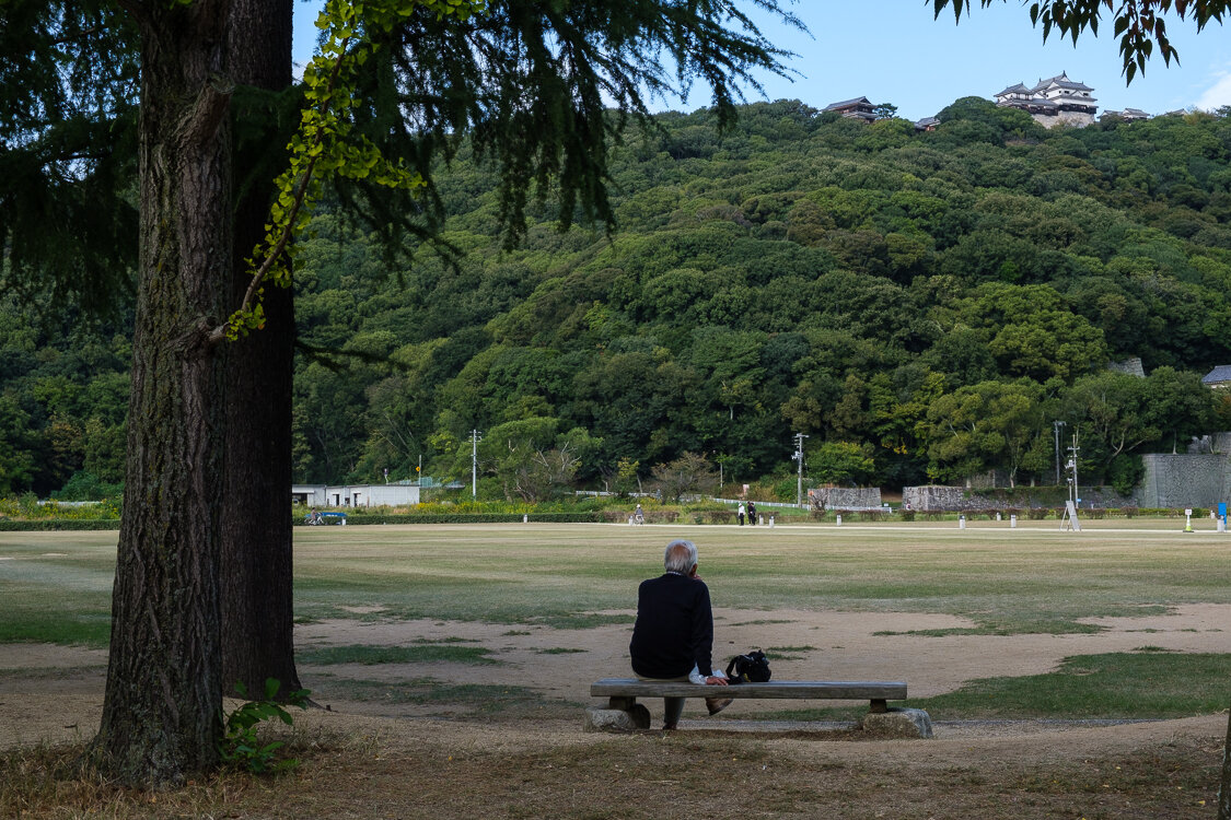 Matsuyama Castle View from a Park