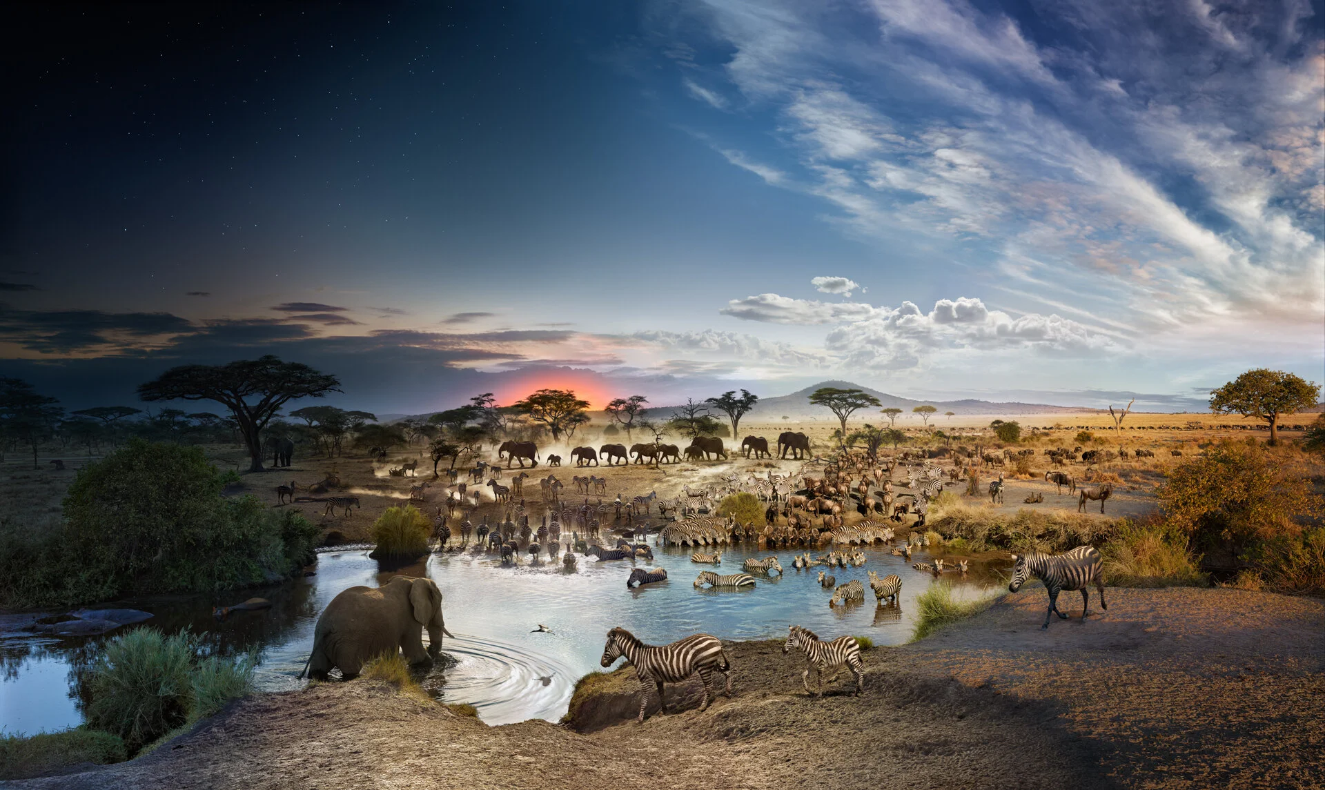 StephenWilkes-D2N030_Serengeti-v25-2k.jpg
