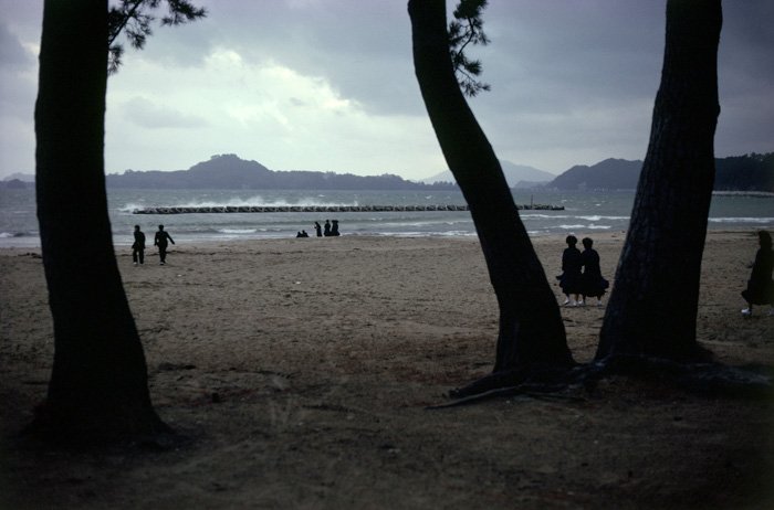 NC_Web_ArtStore_SamKFF_6.JPG