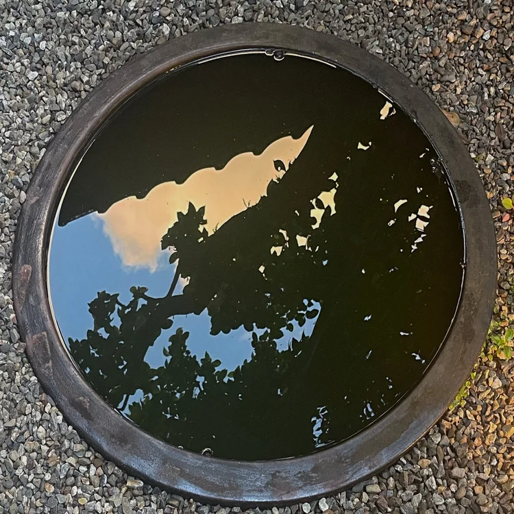 Inland Seas and Verdant Gardens with Aline Smithson — Nobechi Creative