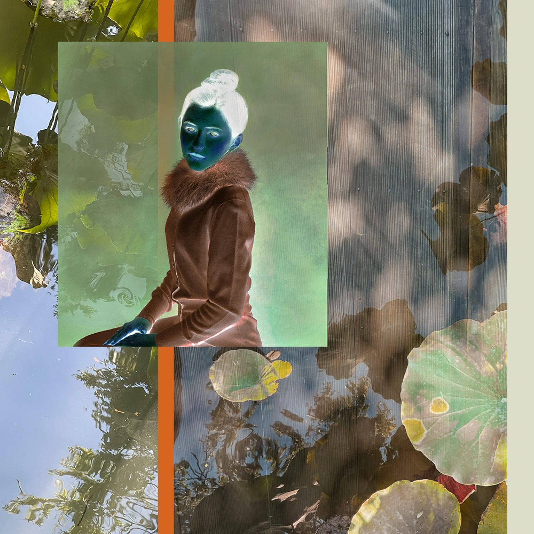 Inland Seas and Verdant Gardens with Aline Smithson — Nobechi Creative
