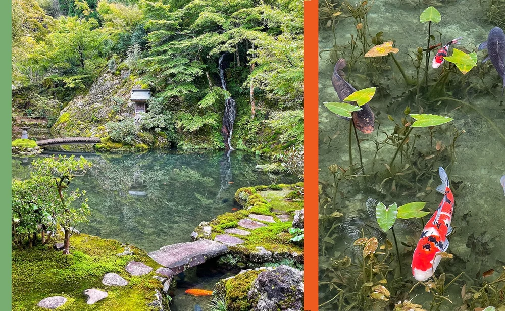 Inland Seas and Verdant Gardens with Aline Smithson — Nobechi Creative