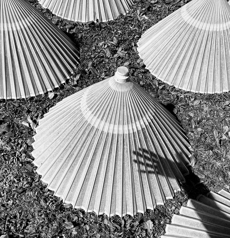 Inland Seas and Verdant Gardens with Aline Smithson — Nobechi Creative