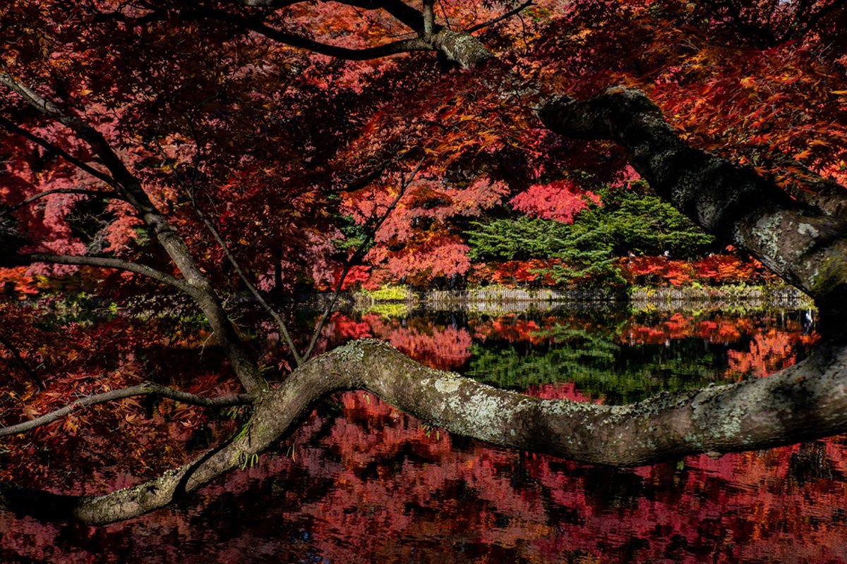 JAPAN - ARTHUR MEYERSON: The Vibrant Color of Nagano