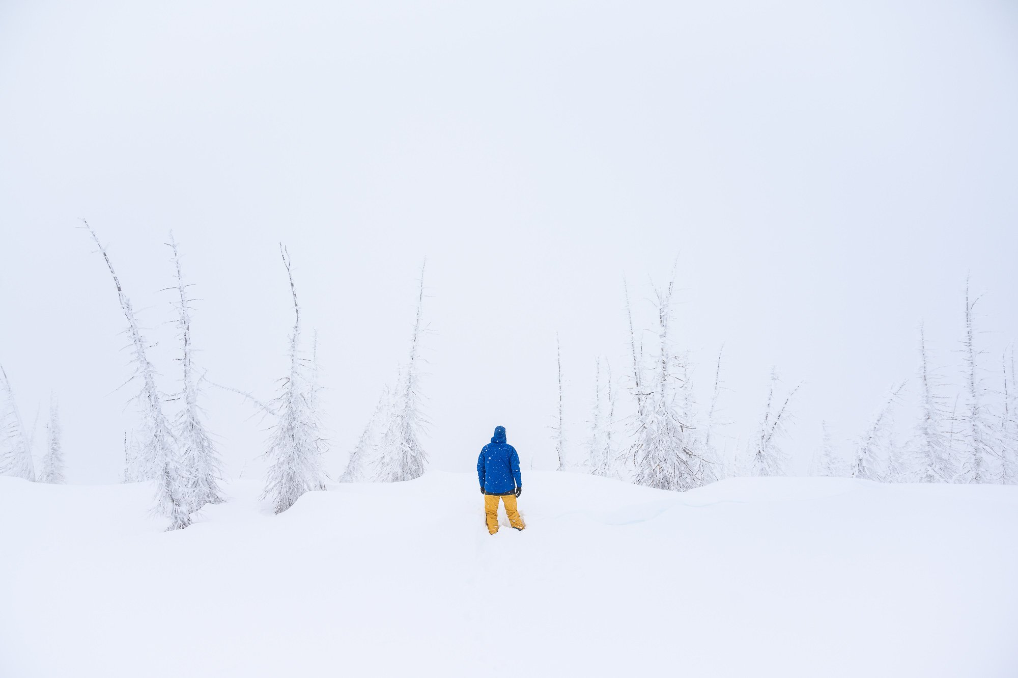 © Michael Clark