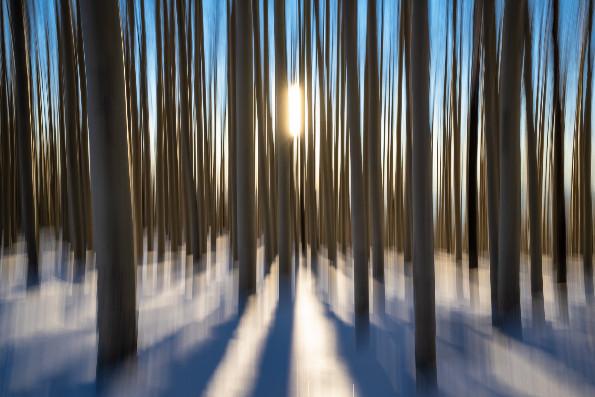 © Michael Clark