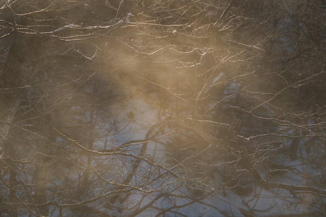 Morning Mist, Eastern Hokkaido 2024