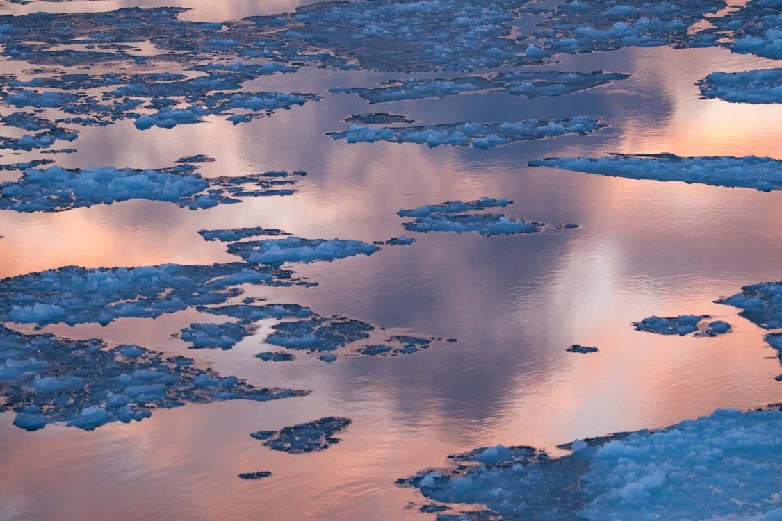 Pack ice at sunset 2024