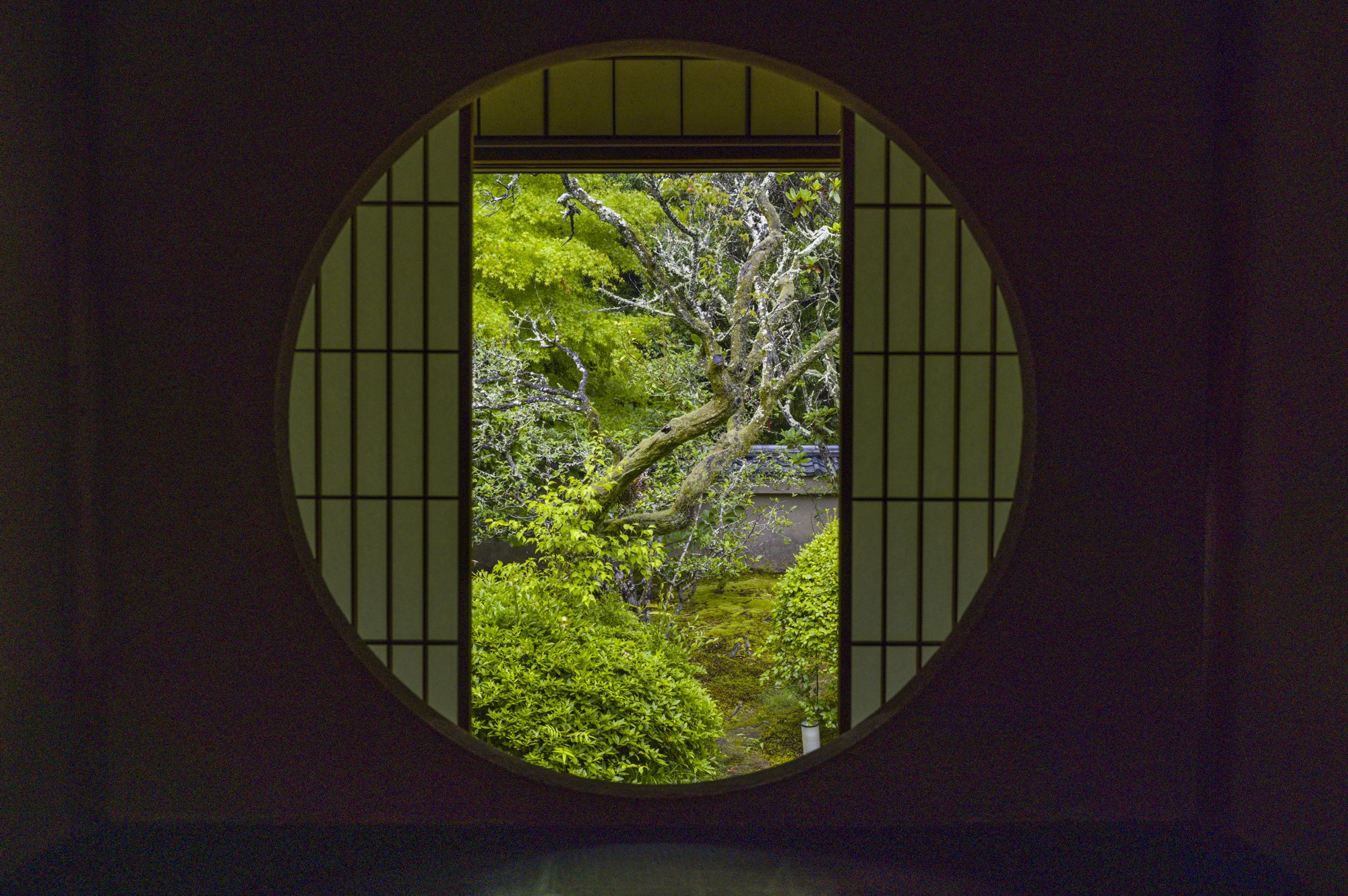 JAPAN - ARTHUR MEYERSON: Save the Dates