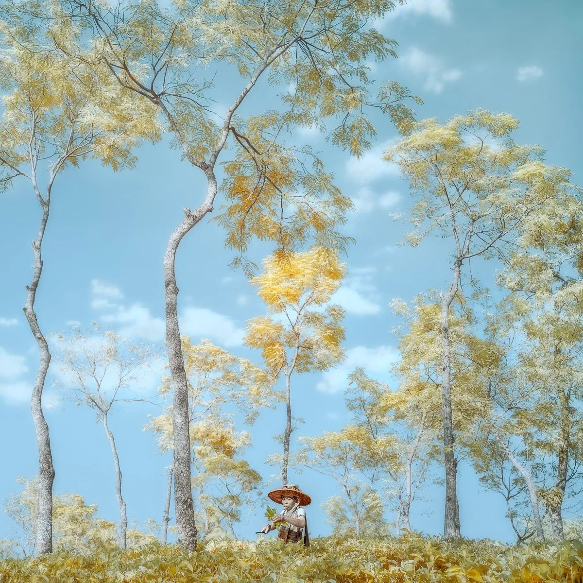 ONLINE - NEVADA WIER: Introduction to Infrared Photography