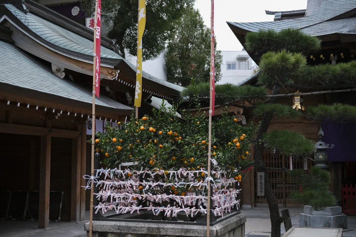 NC_web_fukuoka-kobe_01.JPG