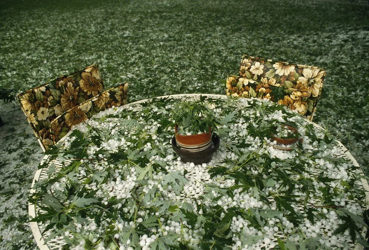 ONLINE - SAM ABELL: Online Master Class (May)