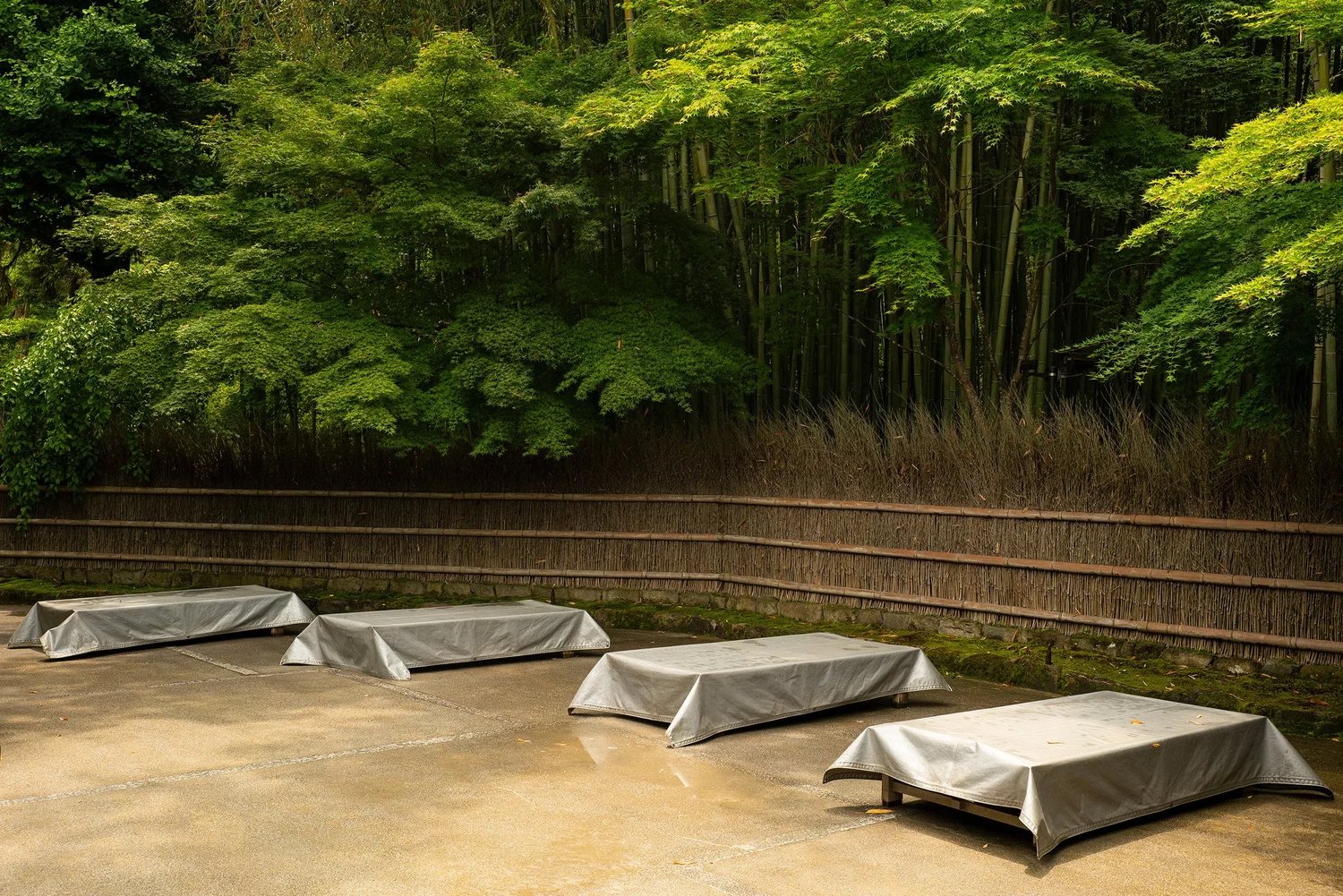 Untitled, Japan-2.jpeg