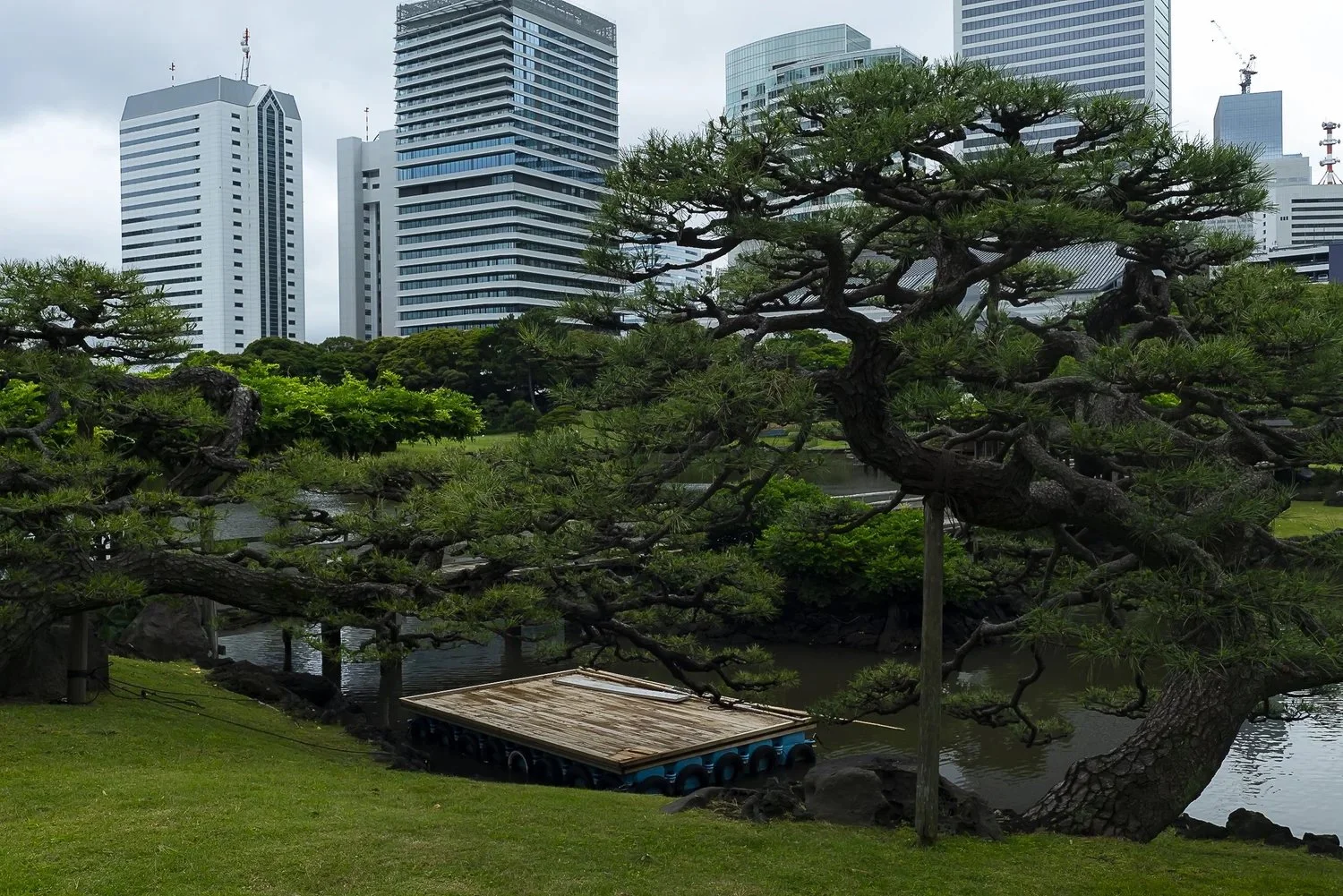 Untitled,Japan-1.jpeg
