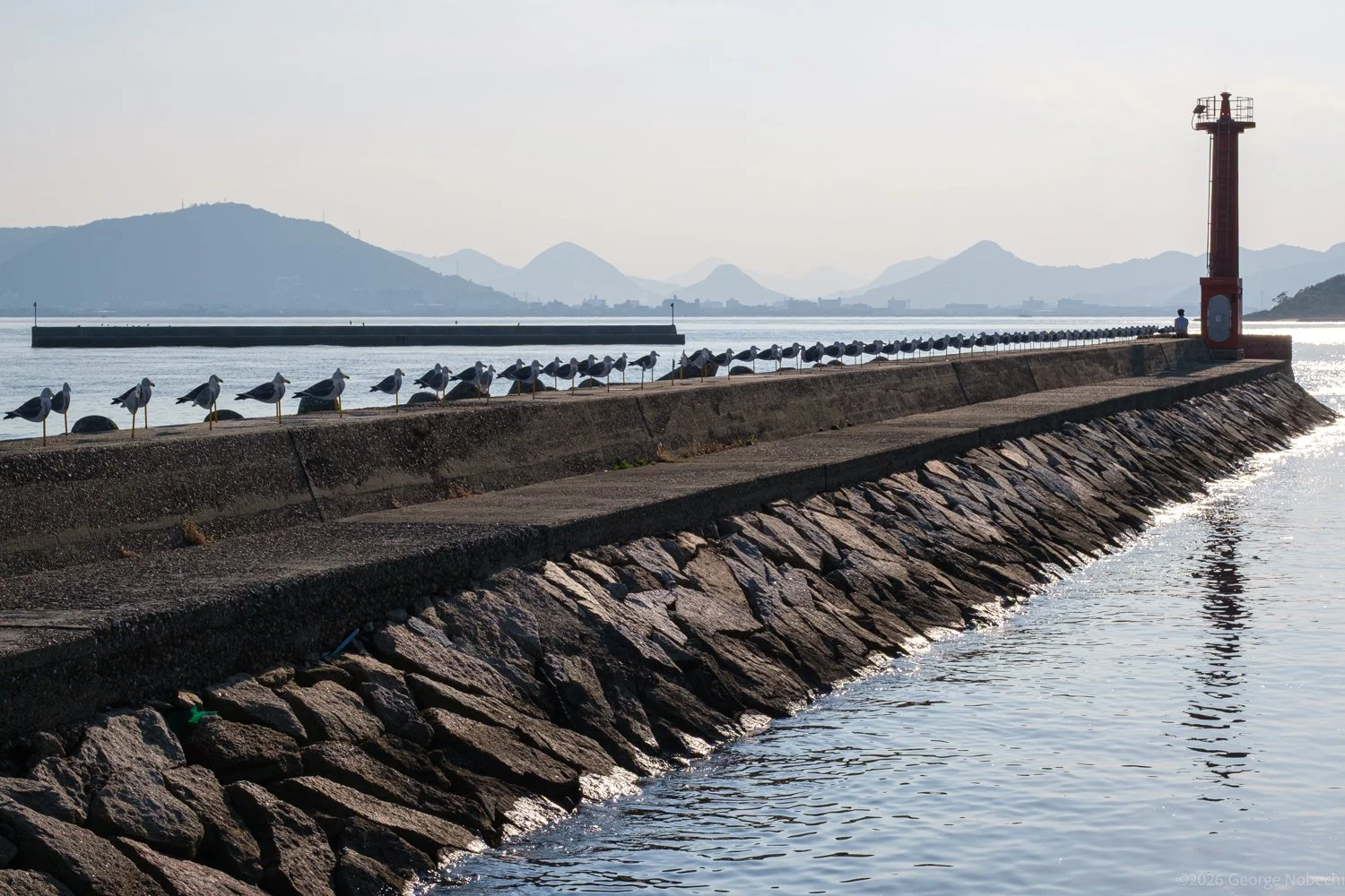Ogijima