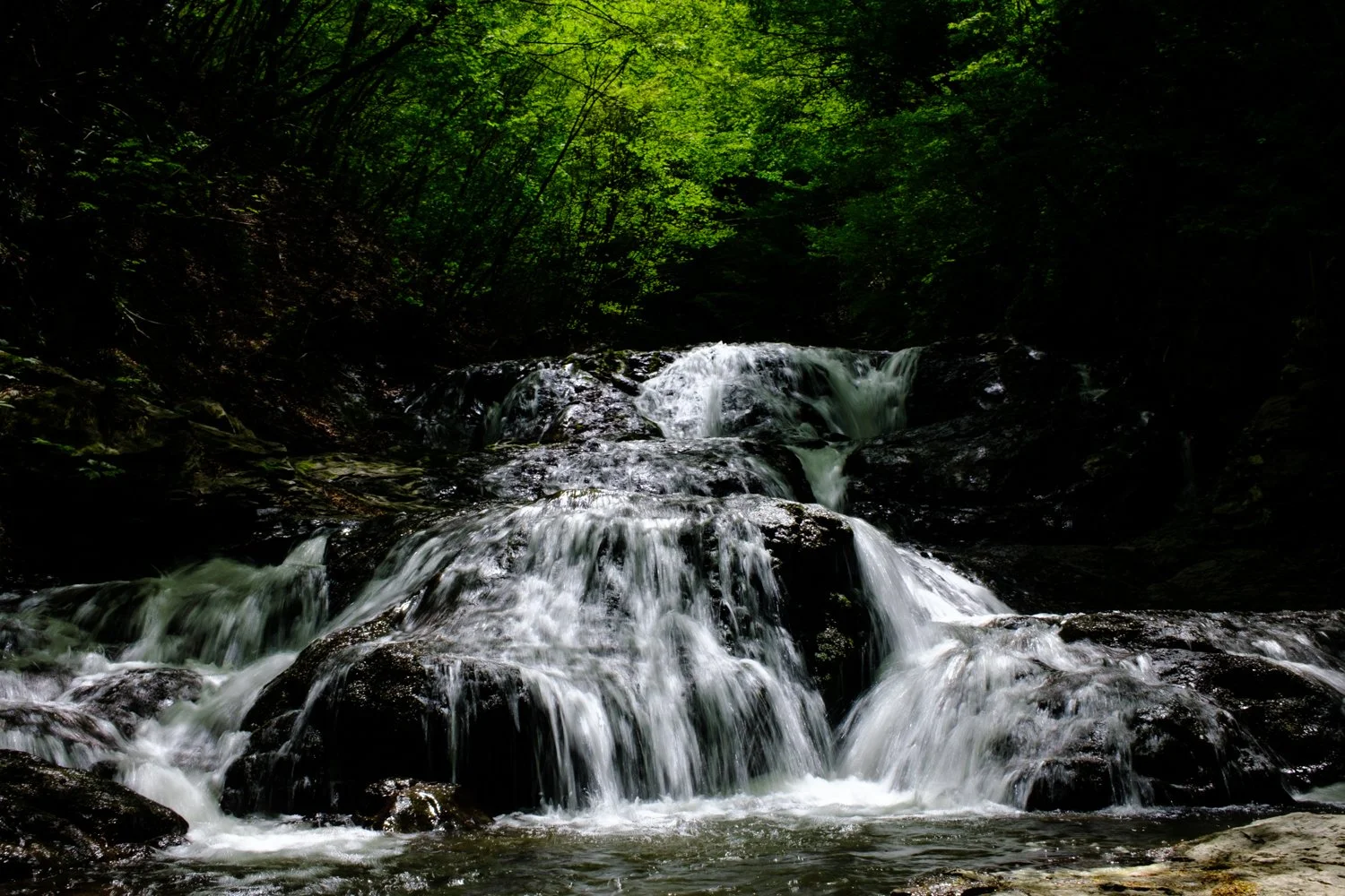 Karuizawa (Copy)