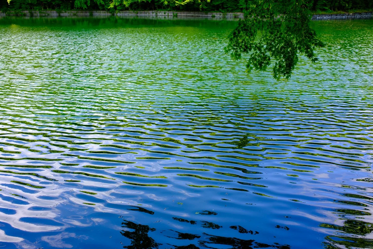 Karuizawa (Copy)