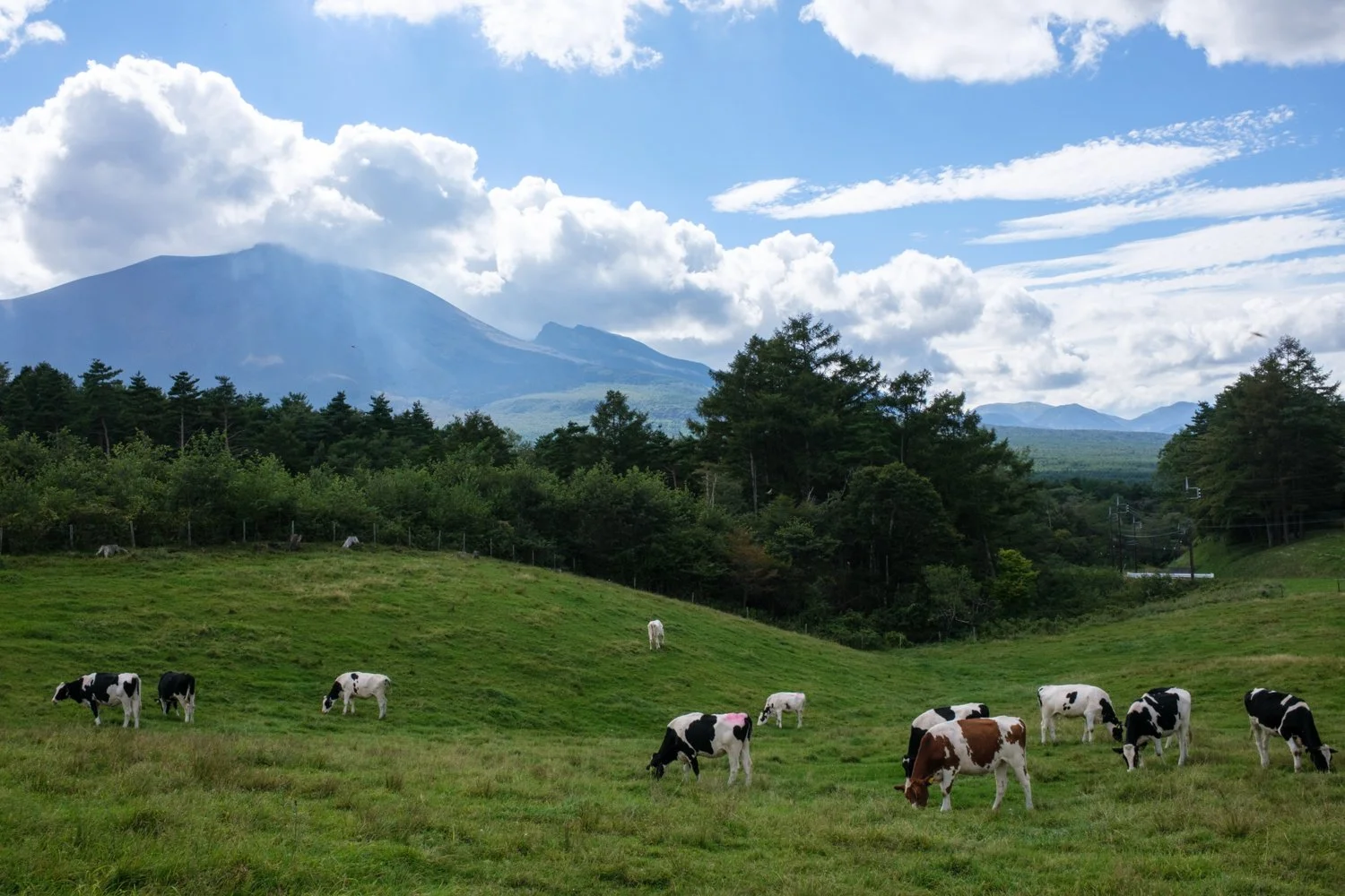 Karuizawa (Copy)
