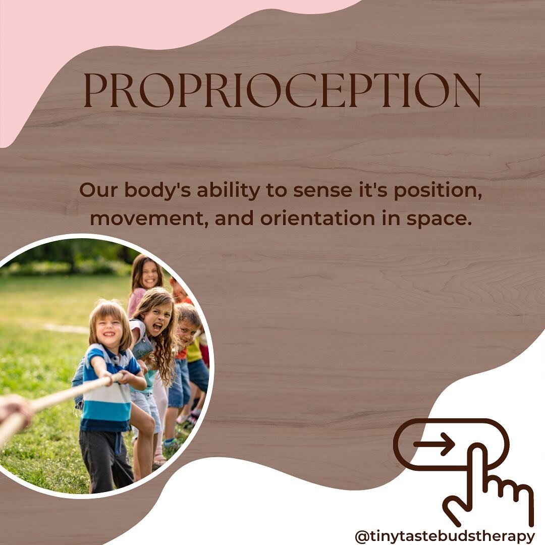 Step aside taste👄, smell👃, touch ✋, sight 👀, and sound👂. There&rsquo;s a new sense in town. Introducing PROPRIOCEPTION 🦸&zwj;♀️ 

Proprioception refers to receptors in our joints and muscles that tells us where our body is in space. 

When we do