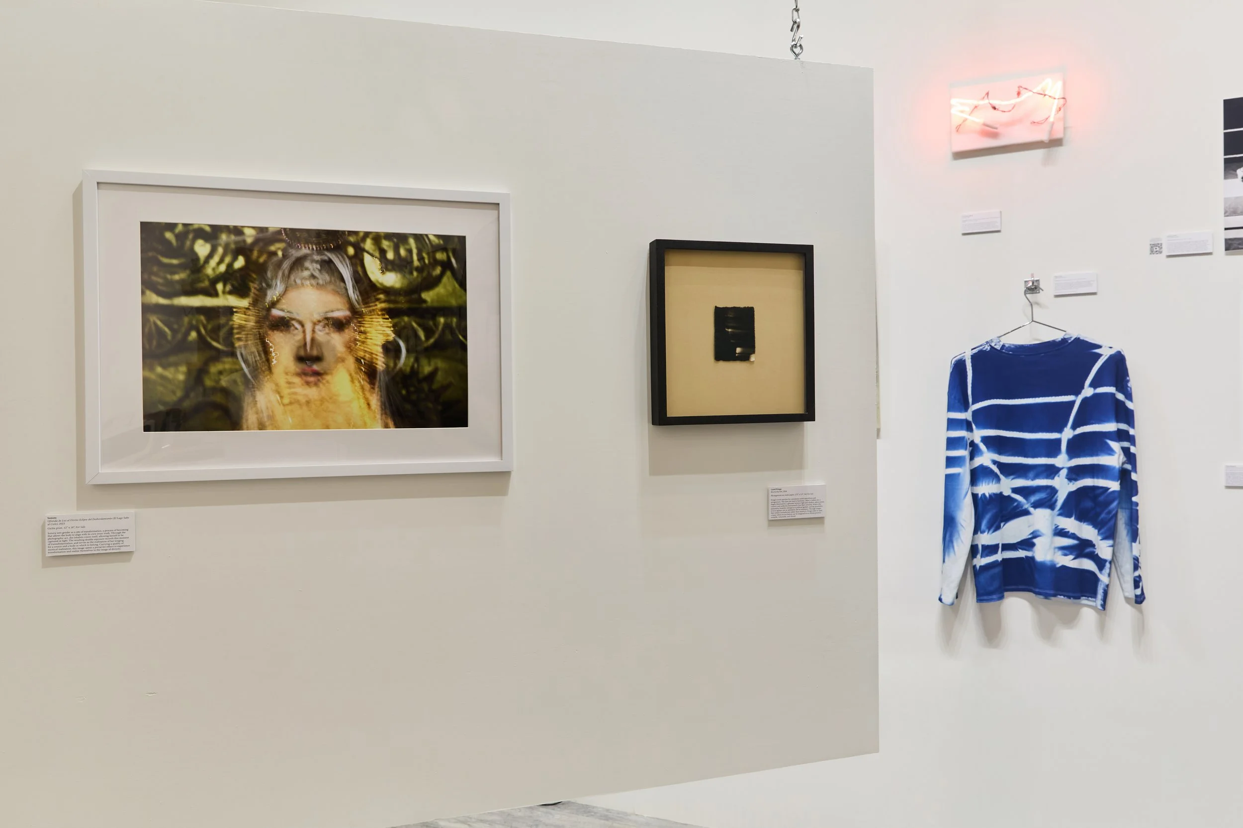 Westlab Group Show_Exhibit Images_027.jpg