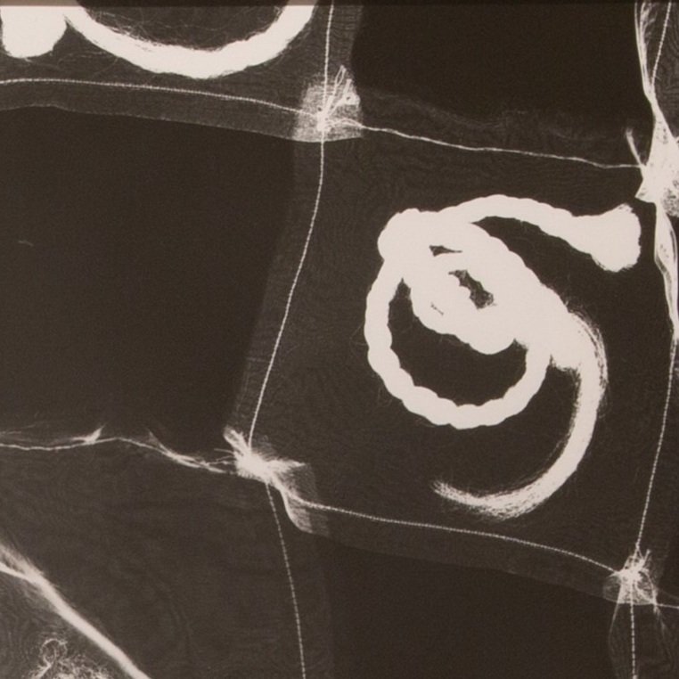 Photogram 3