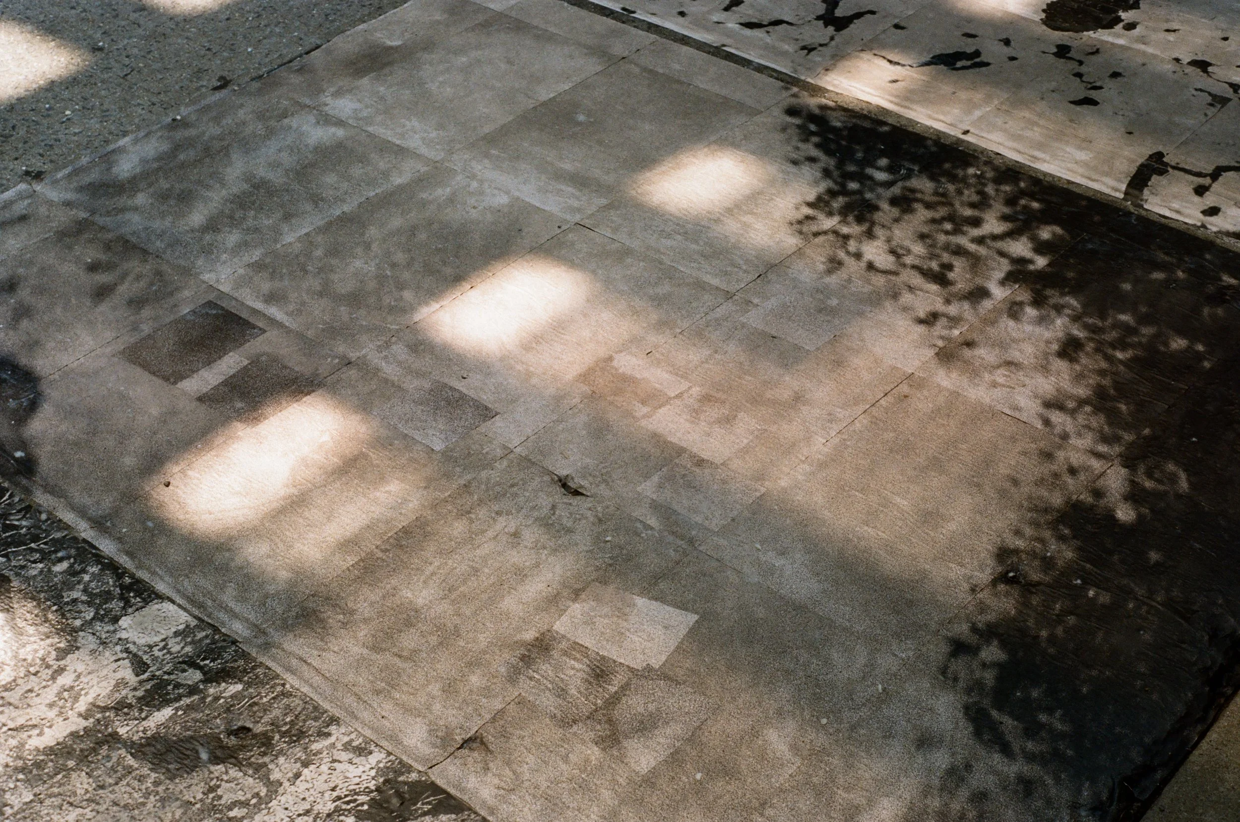 000163720024.jpg